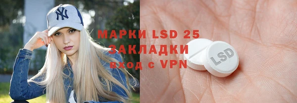 прущие грибы Алзамай