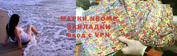 прущие грибы Алзамай