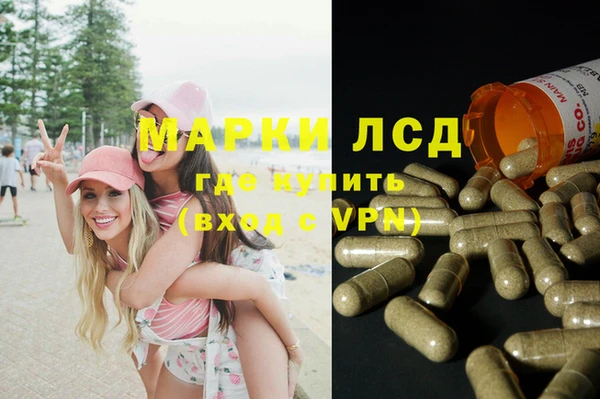 прущие грибы Алзамай