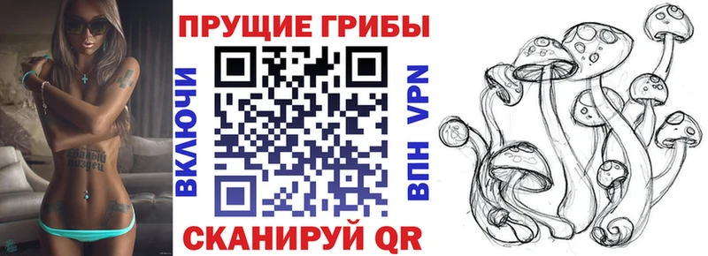 Псилоцибиновые грибы Psilocybe  Мураши 